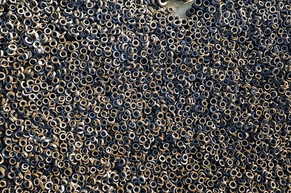 Quels sont les effets de la pollution lumineuse sur l'environnement ?