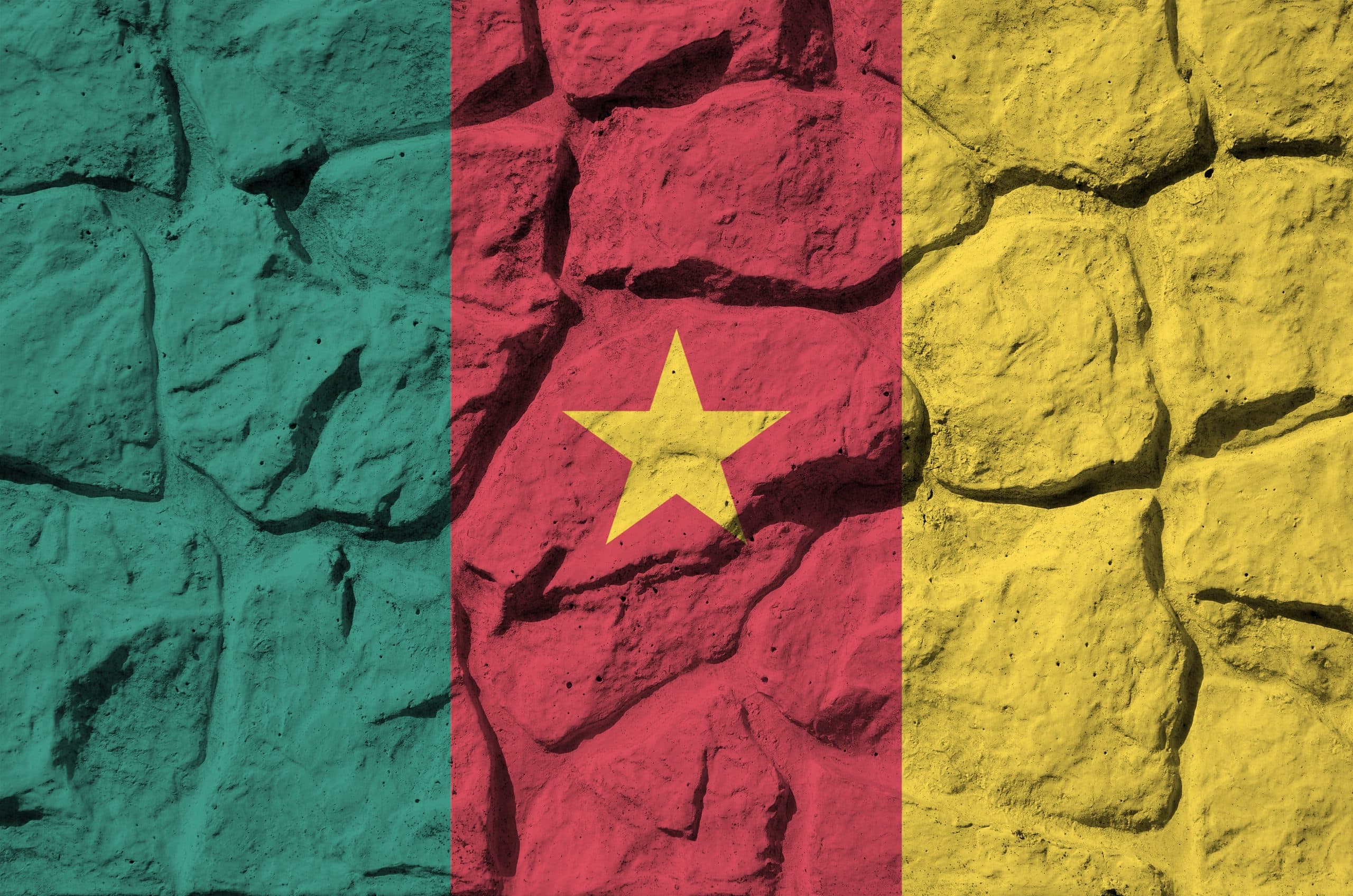Crise anglophone au Cameroun : 7 élèves ont été victimes