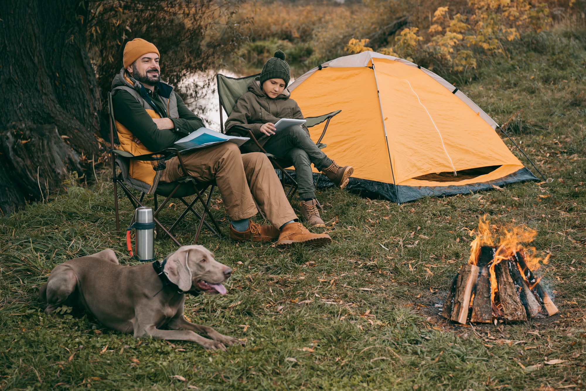 Les campings près de Toulouse sont-ils adaptés aux animaux de compagnie ?